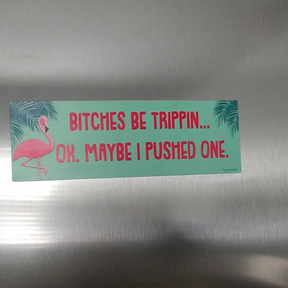Humorous Flamingo Magnet - Green and Pink